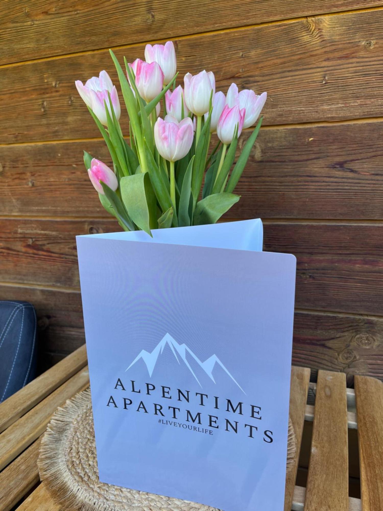 Alpentime Apartments 노이스티프트임스튀바이탈 외부 사진